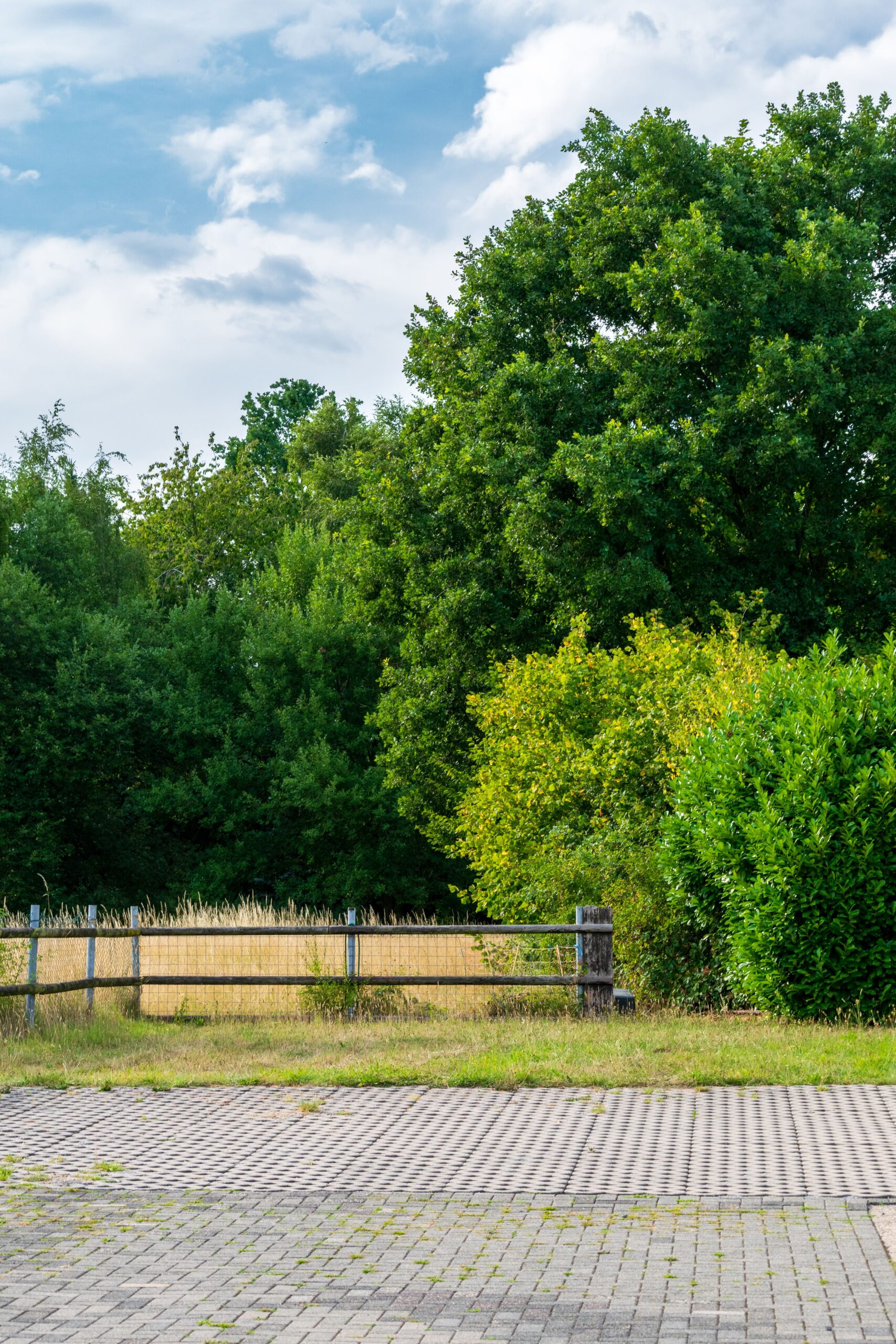 Weg durch die Anlage